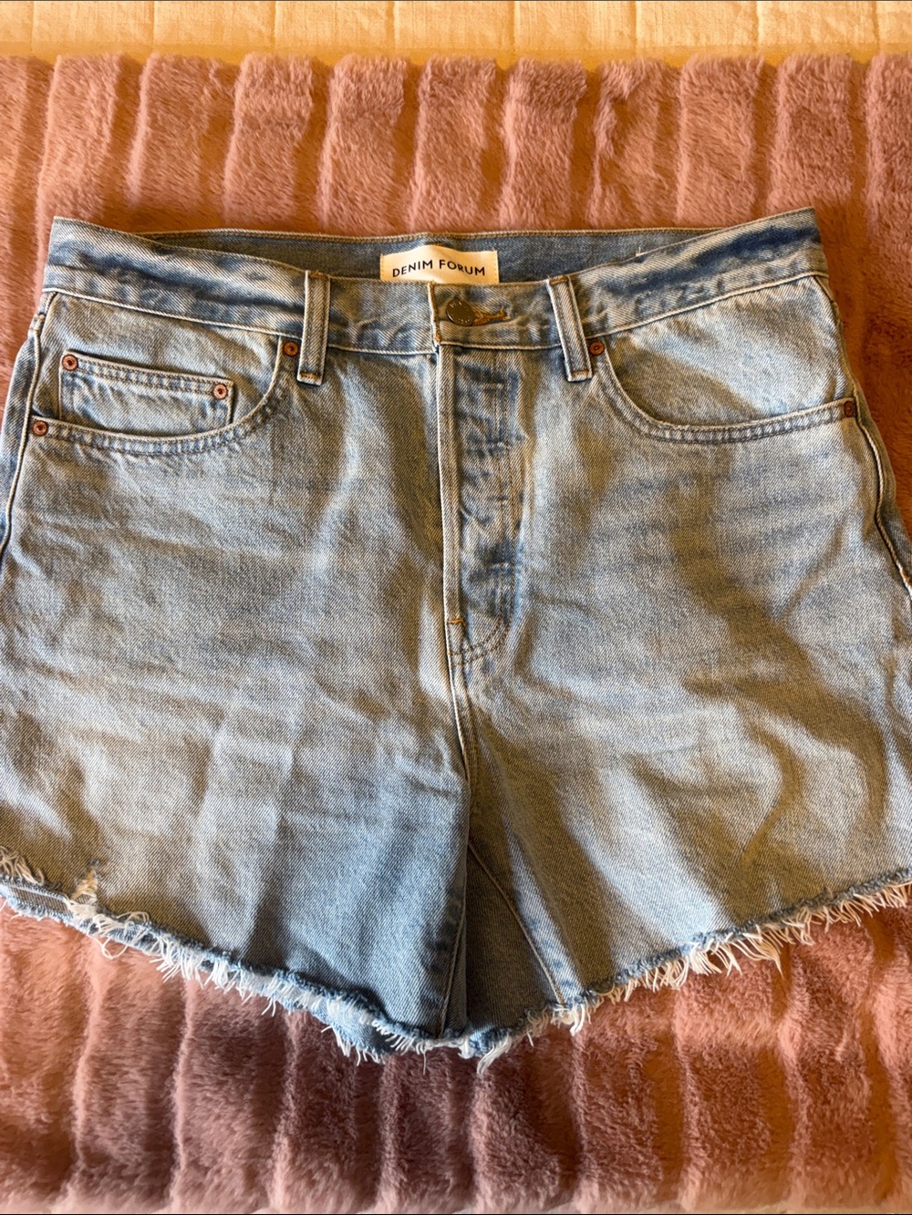 Aritzia Light Blue High-Rise Frayed Denim Shorts